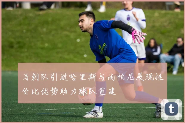 马刺队引进哈里斯与尚帕尼展现性价比优势助力球队重建